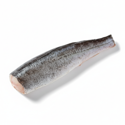 Pescada Da América Do Sul A Granel Congelada Nossa Peixaria 0.8Kg