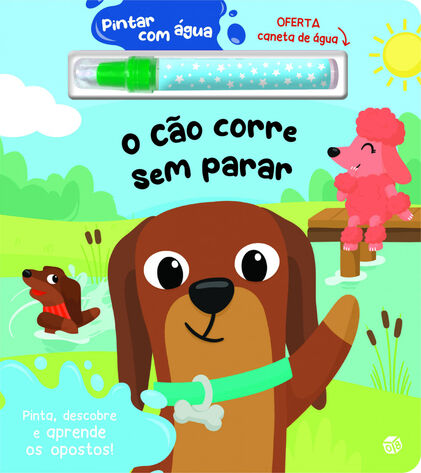 O Cão Correr Sem Parar - Livro Para Pintar Com Água Vários Autores