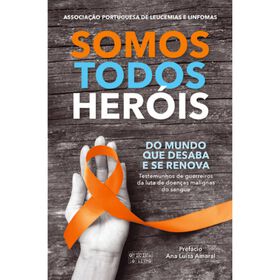 Somos Todos Heróis De Oficina Do Livro