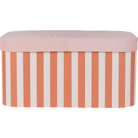 Caixa Riscas Largas Rosa 38,5X26,5X19Cm Kasa
