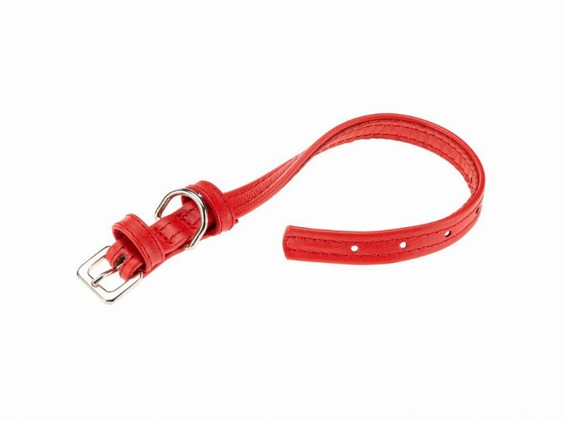 Coleira Pele Cão Ferplast Vogue Vermelha Cf 20/39Cm