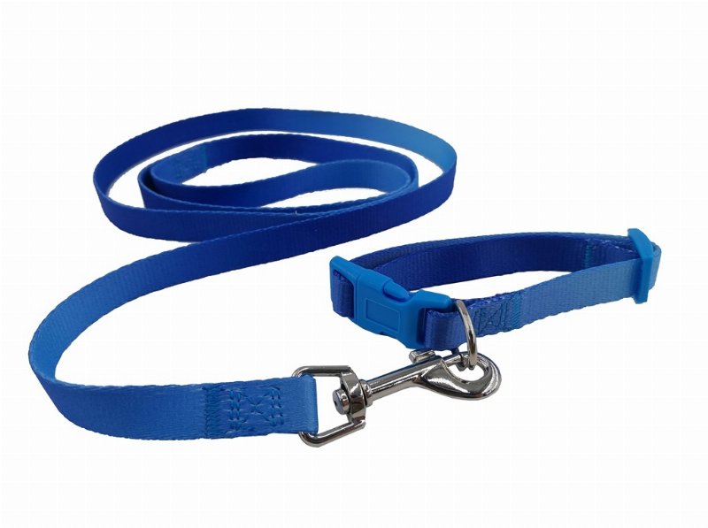 Coleira 25-35Cm Auchan Azul + Trela 1.5X120Cm