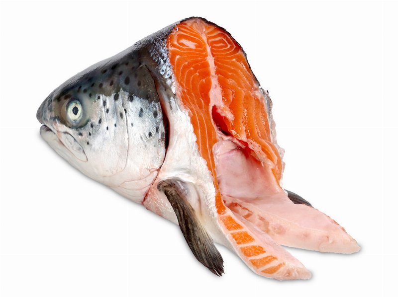Salmão Cabeça 2 kg A 3 kg