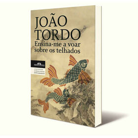 Ensina-Me A Voar Sobre Os Telhados De João Tordo