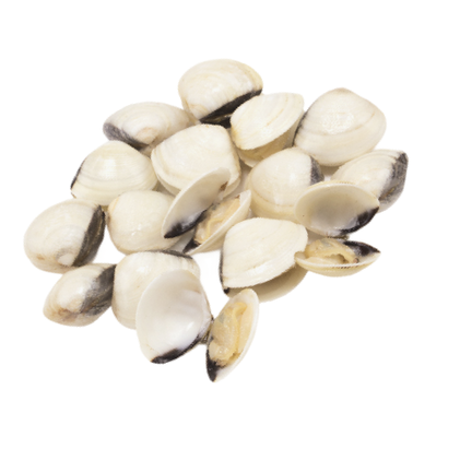 Amêijoa Branca Grande Fresca Nossa Peixaria 1Kg