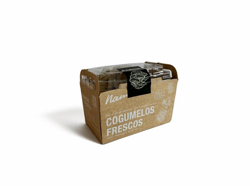 Cogumelos Pleurotus (L) 200 g