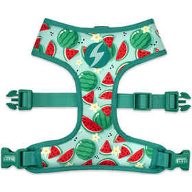 Peitoral Para Cão Eco Breeze 2Xl Dashi 1 Un