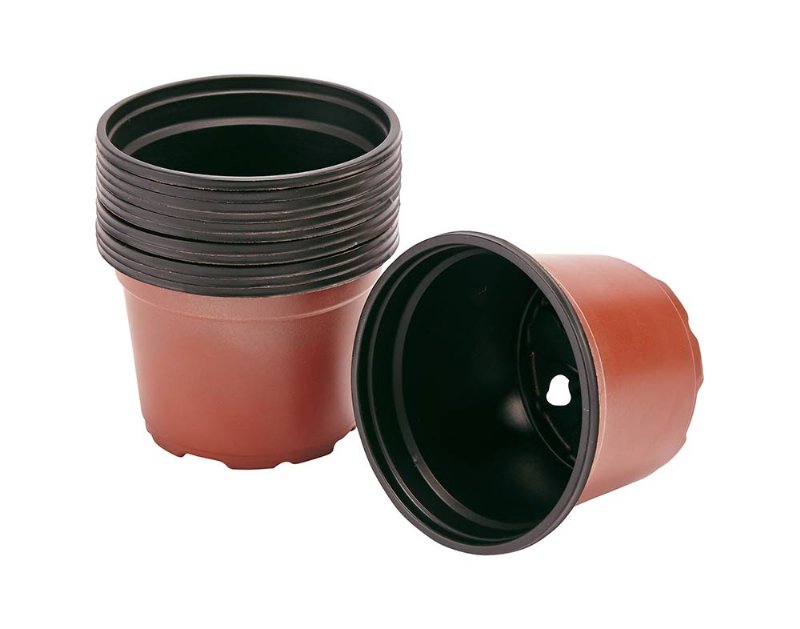 Conjunto Vasos Gardenstar 12 Peças