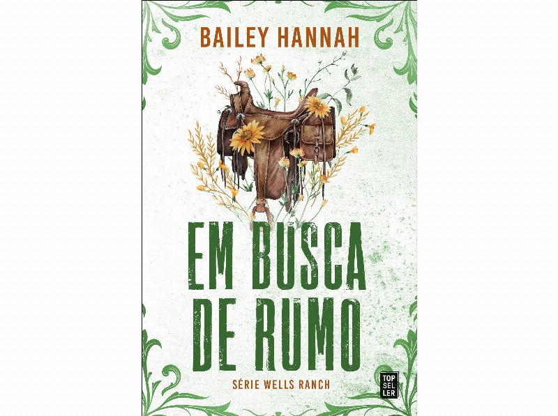 Livro Em Busca De Rumo Bailey Hannah