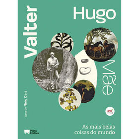 As Mais Belas Coisas Do Mundo De Valter Hugo Mãe