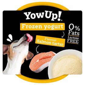 Iogurte Congelado Para Cão Salmão Tartar Yowup! 110 g
