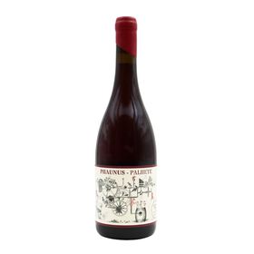 Phaunus Amphora Palhete Tinto Vinho Verde