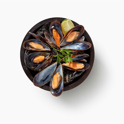 Mexilhão Cozido Fresco Embalado Nossa Peixaria 1Kg