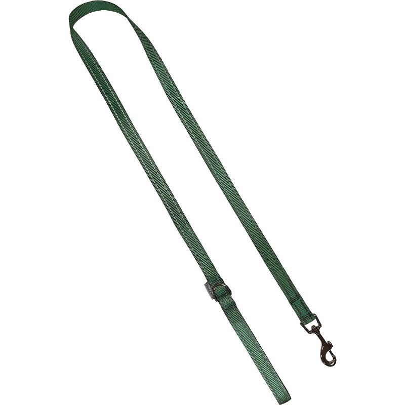 Trela Para Cão Verde Eucalipto Tamnho L 2,5Cmx120Cm 1 unidade