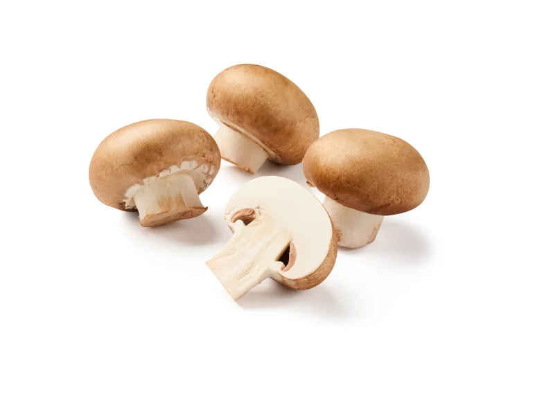 Cogumelo Marron
