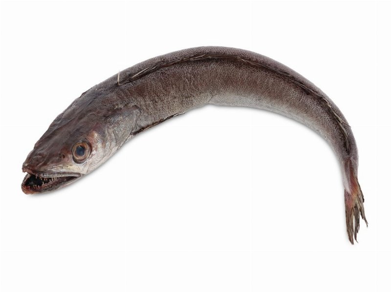 Pescada Rede Kg