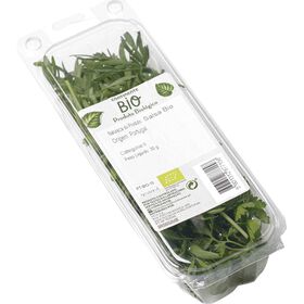 Salsa Biológica Fresca Continente Bio 30 gr