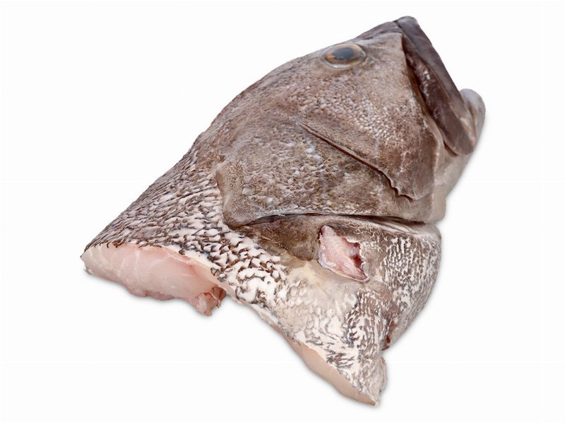 Garoupa Grande Cabeça Kg
