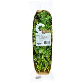 Salsa Fresca Continente 50 gr
