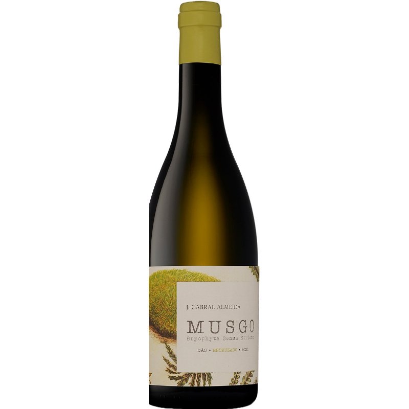 Vinho Branco Do Dão Encruzado 75 cl