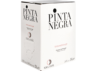 Vinho Tinto Pinta Negra Lisboa Bag In Box 5 l