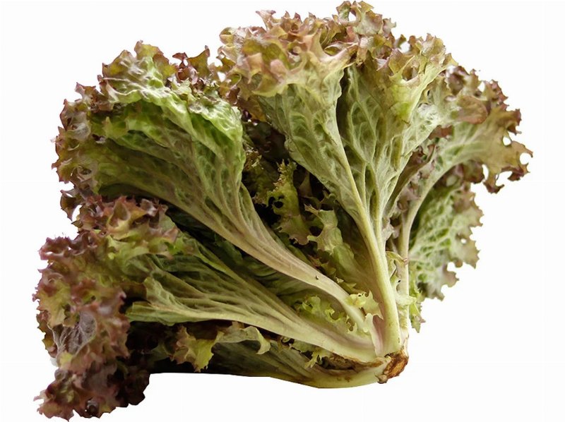 Alface Roxa Kg Produto Local