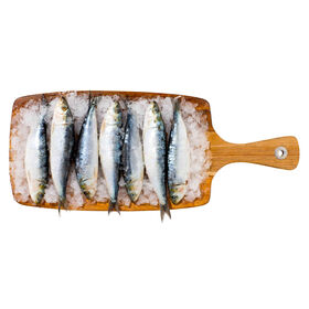 Sardinha Congelada
