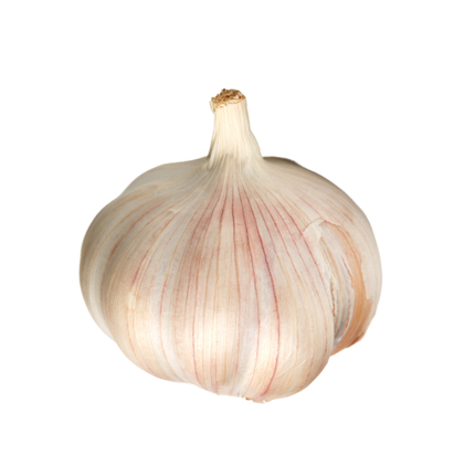 Alho Seco Nossa Fruta E Legumes 0.09Kg