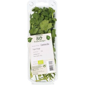 Coentros Biológicos Frescos Continente Bio 30 gr