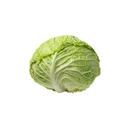 Couve Lombarda Nossa Fruta E Legumes 1.24Kg