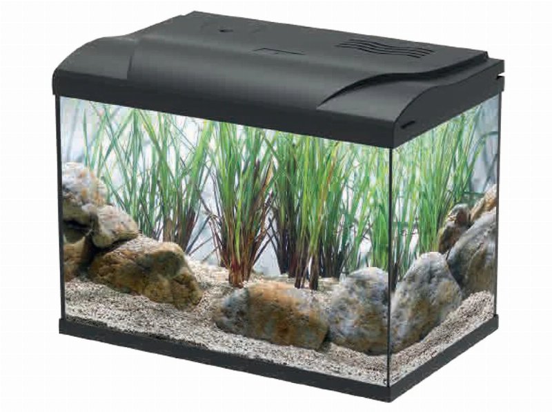 Aquário Em Kit Aquaseries Peixes Água Fria 40X23X32Cm 21 l