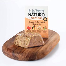 Comida Húmida Para Cão Adulto Salmão Naturo 400 gr