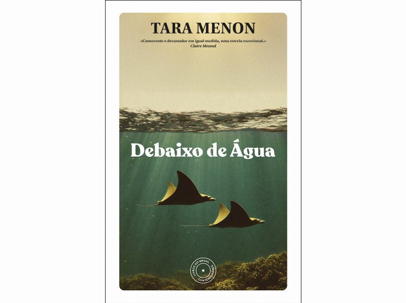 Livro Debaixo De Água De Tara Menon