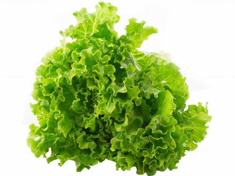 Alface Frisada Kg Produto Local
