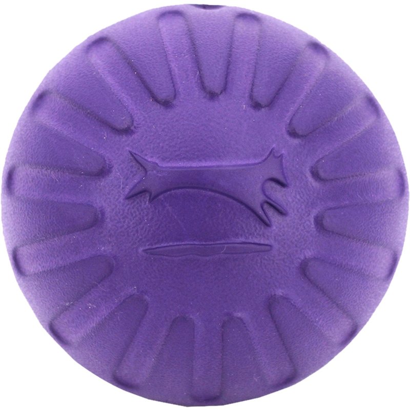 Brinquedo Para Cão Fantastic Ball Roxo Tamanho L 1 unidade