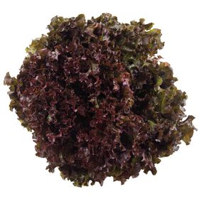Alface Roxa Continente 200 gr