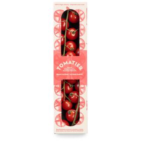 Tomate Cherry Rama Premium Tomatier 200 gr