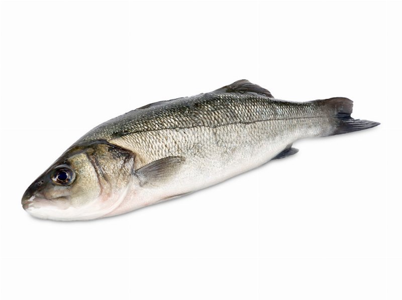 Robalo Ria De Alvor / Arade Auchan Cultivamos O Bom Kg