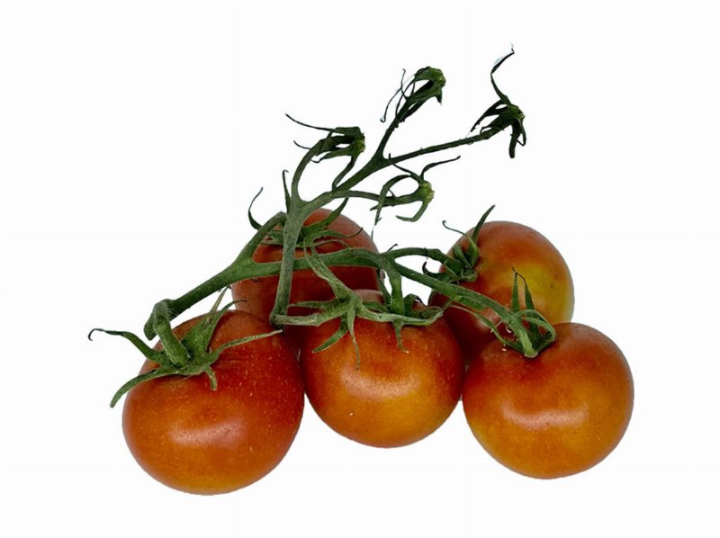 Tomate Marmande Bio Quinta Das Mélias Kg