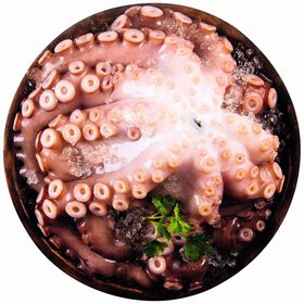 Polvo Congelado (4 A 6 kg) Continente 4,7 kg
