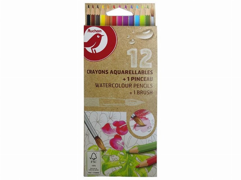 Conjunto De 12 Lápis Aguarela E Pincel Auchan