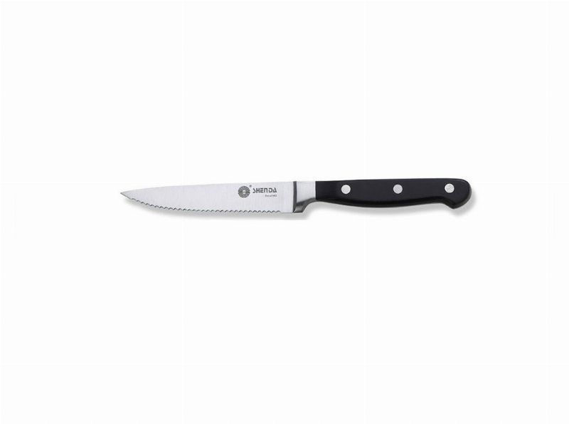 Faca Serrilha Actuel Em Inox Forjado 11Cm