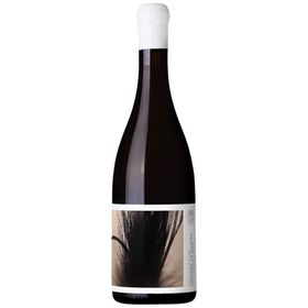 Morgado Do Quintão Castelão Regional Algarve Vinho Tinto