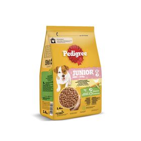 Ração Para Cão Júnior Mini Frango E Arroz Pedigree 1,4 kg