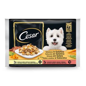Comida Húmida Para Cão Em Geleia Saquetas Cesar 4 X 100 g