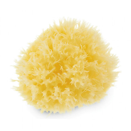 Esponja De Banho Neobaby