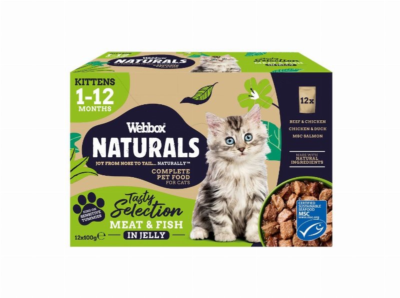 Comida Húmida Para Gato Natural Webbox Saquetas Para Gatinhos 12X100 g