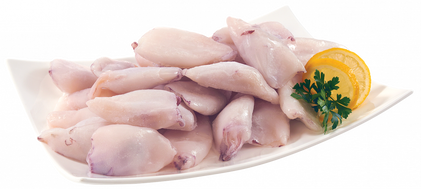Lula A Granel Congelada Nossa Peixaria 0.07Kg