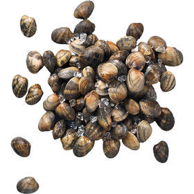 Amêijoa Japonesa Fresca 1 kg