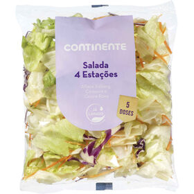Salada 4 Estações Continente 250 gr (5 Doses)